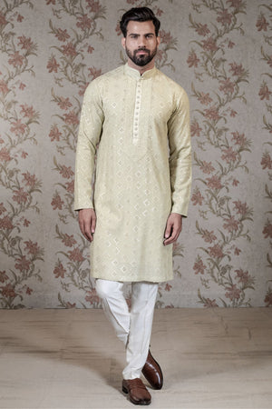 Light Green Chikan Kurta