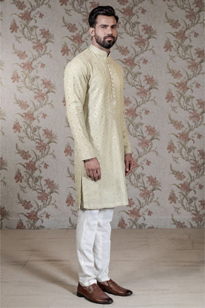 Light Green Chikan Kurta
