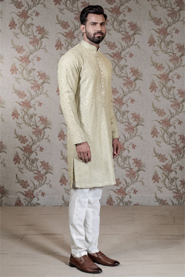 Light Green Chikan Kurta
