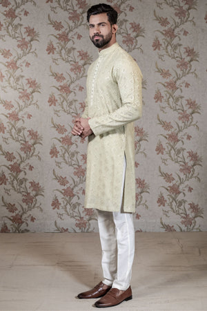 Light Green Chikan Kurta