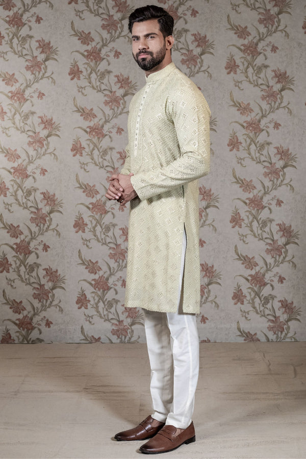 Light Green Chikan Kurta