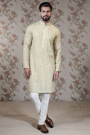 Light Green Chikan Kurta