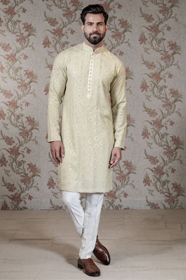 Light Green Chikan Kurta