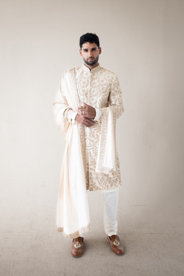 Pearl Ivy Sherwani