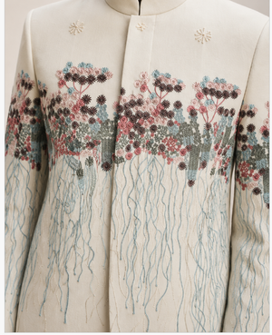 Petal Cascade Indowestern Set detail view